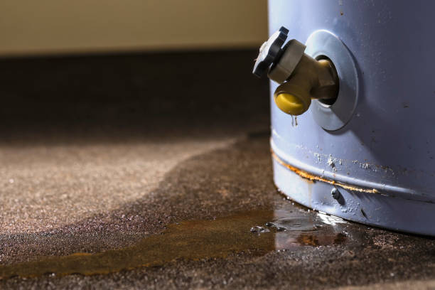Best Water damage cleanup near me  in Scranton, PA
