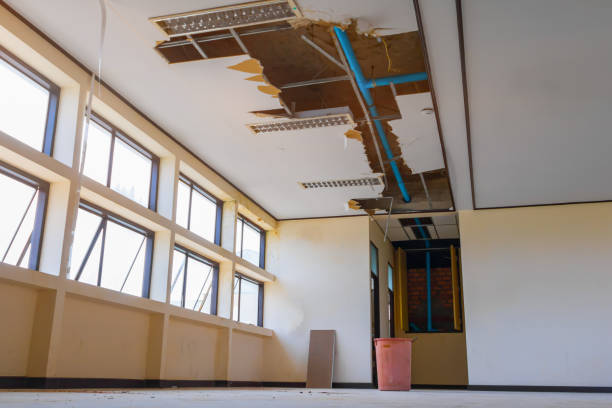 Best Professional water damage repair  in Scranton, PA