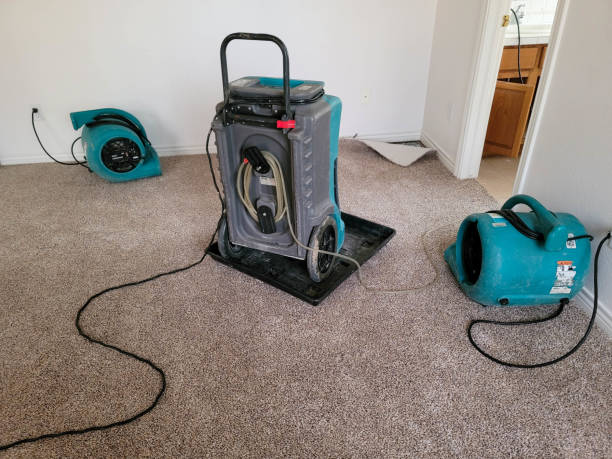 Best Emergency water damage restoration  in Scranton, PA