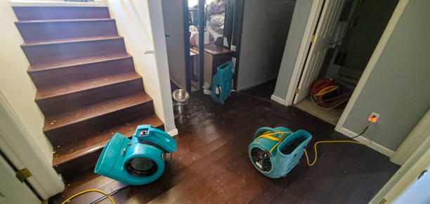 Best Sewage cleanup and water damage restoration  in Scranton, PA