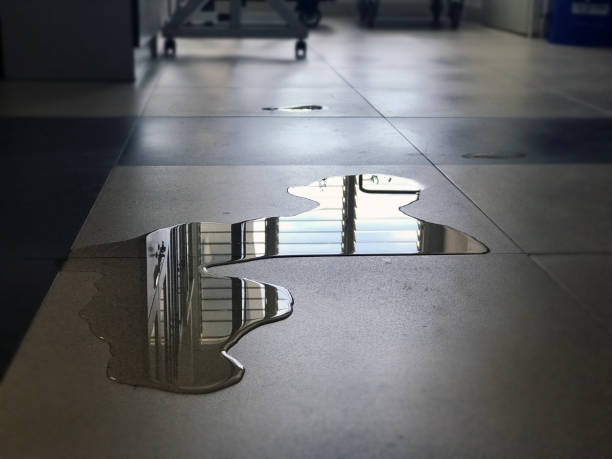 Best Water damage restoration cost  in Scranton, PA
