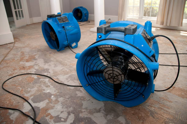 Best Water damage restoration near me  in Scranton, PA