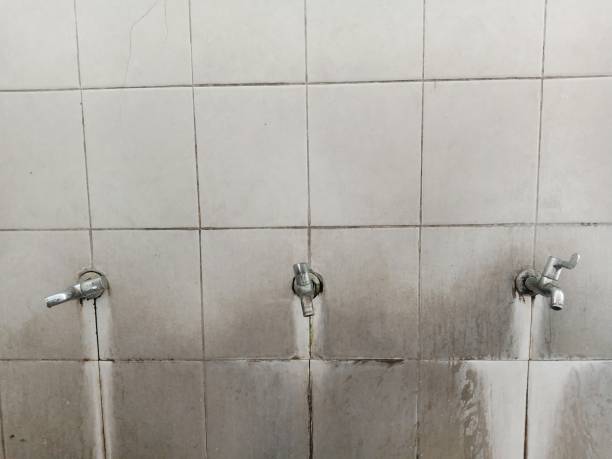 Best Water damage contractors near me  in Scranton, PA
