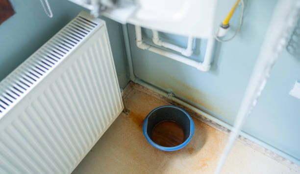 Best Carpet water damage restoration  in Scranton, PA