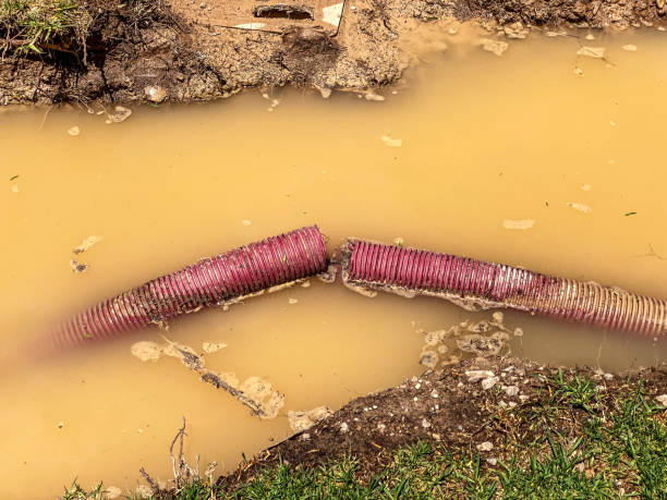  Scranton, PA Water damage restoration Pros